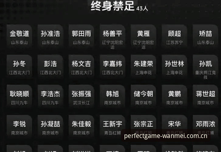 资深球迷分享：足协第三批禁足名单深度解读与观赛心得